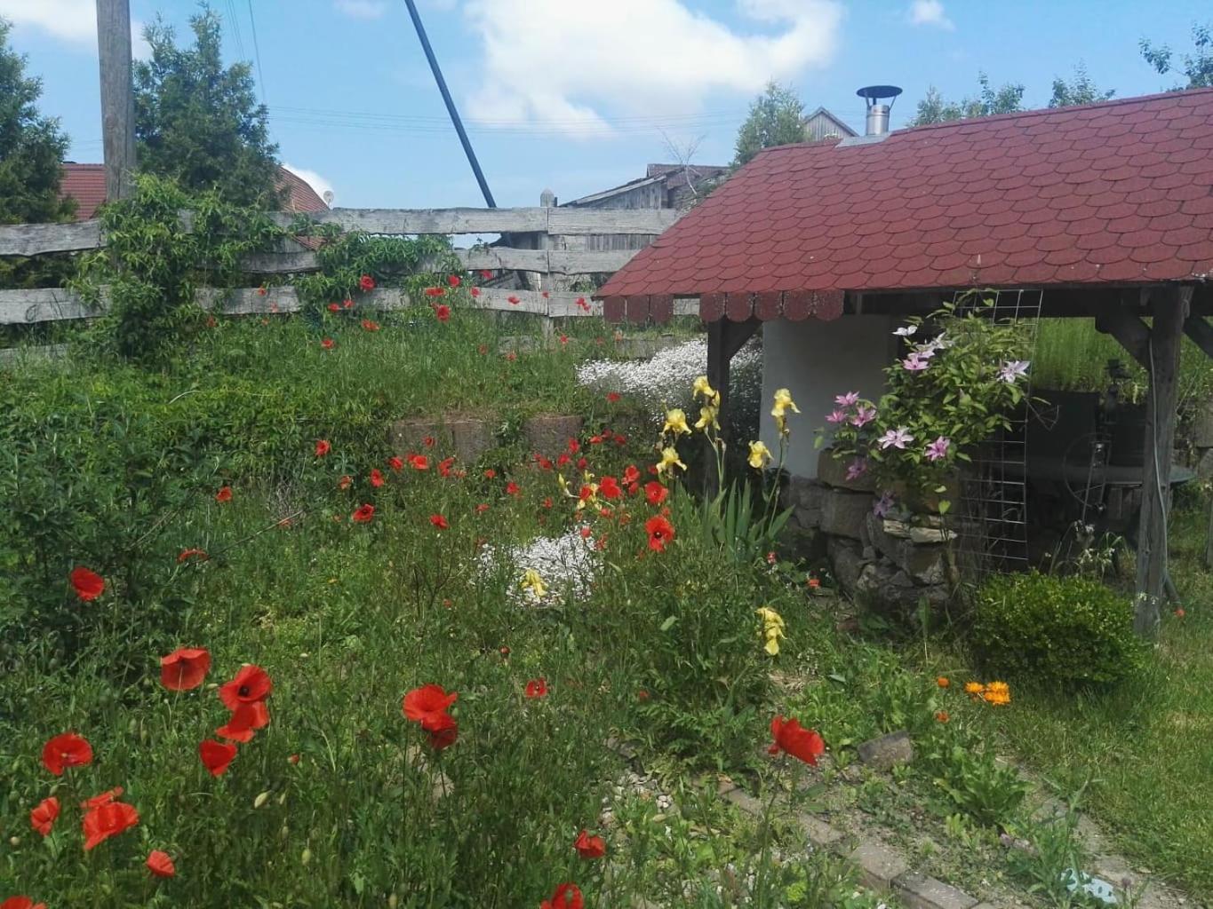 Gaestehaus Zum Gesundheitszentrum Matz Sulzdorf an der Lederhecke Ngoại thất bức ảnh