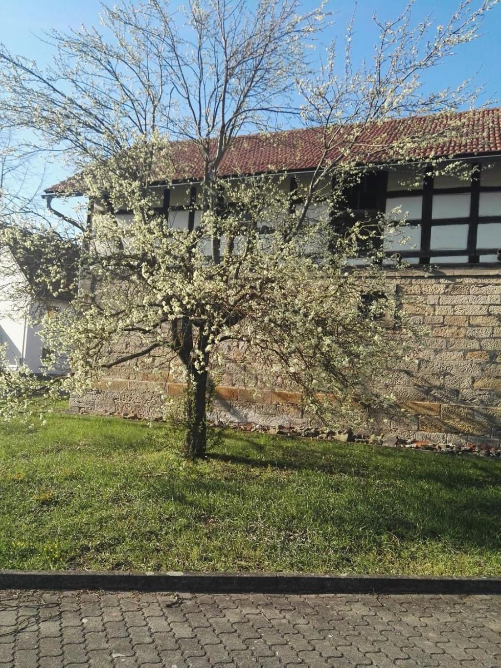 Gaestehaus Zum Gesundheitszentrum Matz Sulzdorf an der Lederhecke Ngoại thất bức ảnh